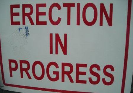 erectioninprogress_2162d9b2919bd519dbb73f82fdc0f71427750fa8.jpg