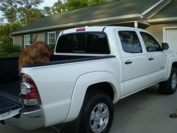 Erictruck4_828ddb0a39e531566a0e426c163f1f1ec047df5e.jpg