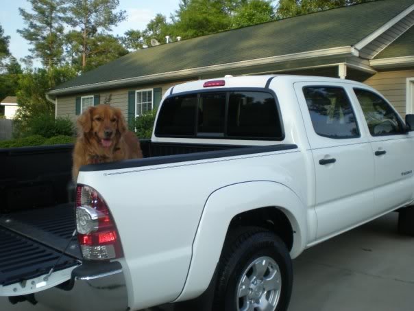 Erictruck5_58a80c4c9ca3166b8a6ed5ec57fff2988c739a07.jpg
