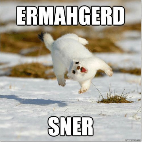 ermahgerd-sner-30540205.jpg