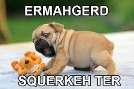 ermahgerd_b5274ca21d087dc1b743f6107efda05f62822836.jpg