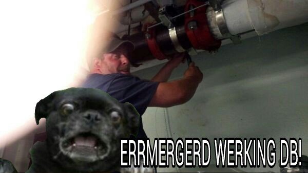 ermergerd dbicsay.jpg
