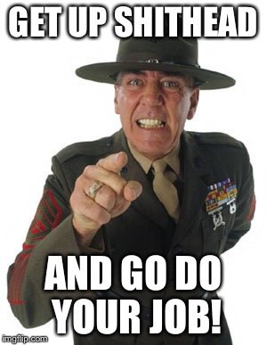 ermey1.jpg