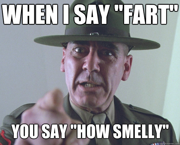ermey4.jpg