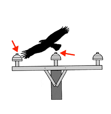 Esquemaelectrocucio01.gif