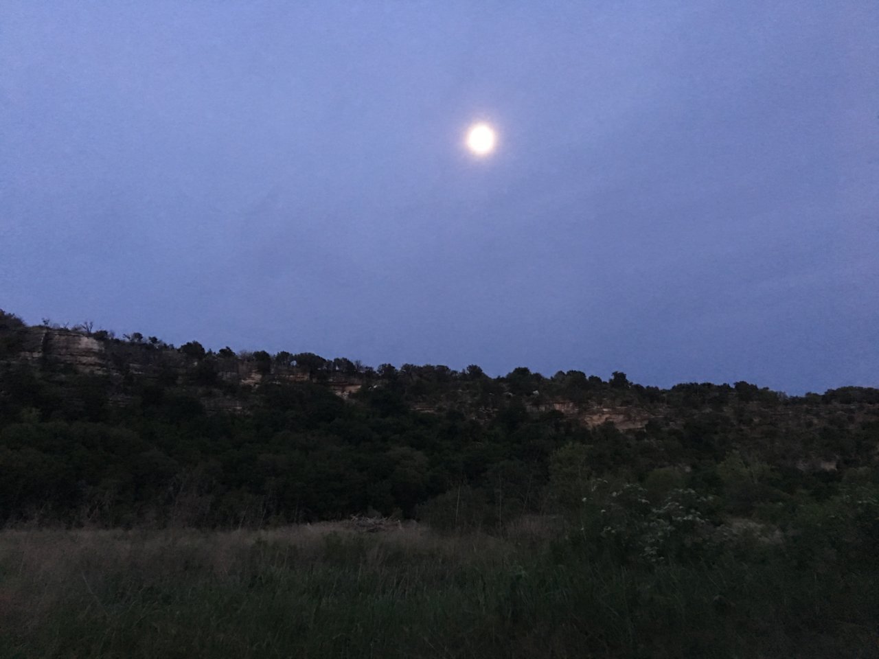 Evening moon.jpg
