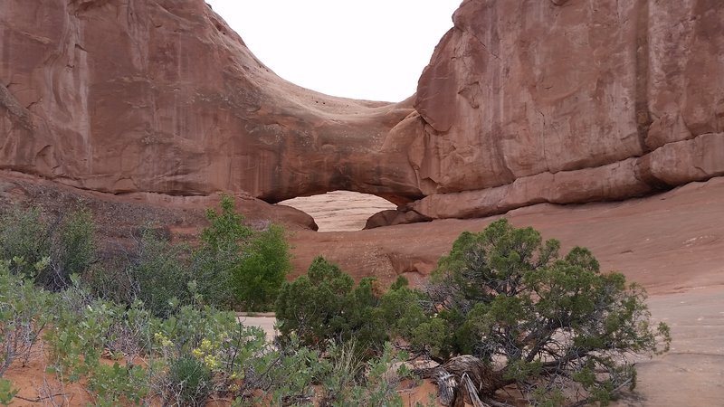 eye of the whale arch (1).jpg