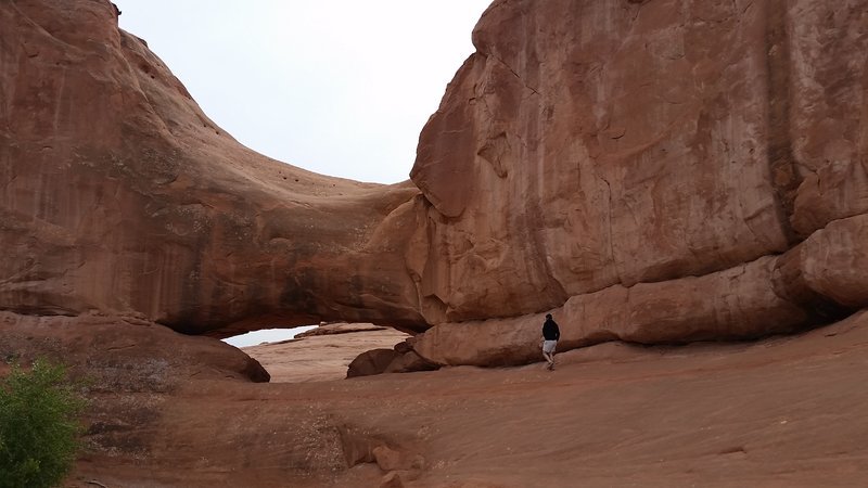 eye of the whale arch (2).jpg