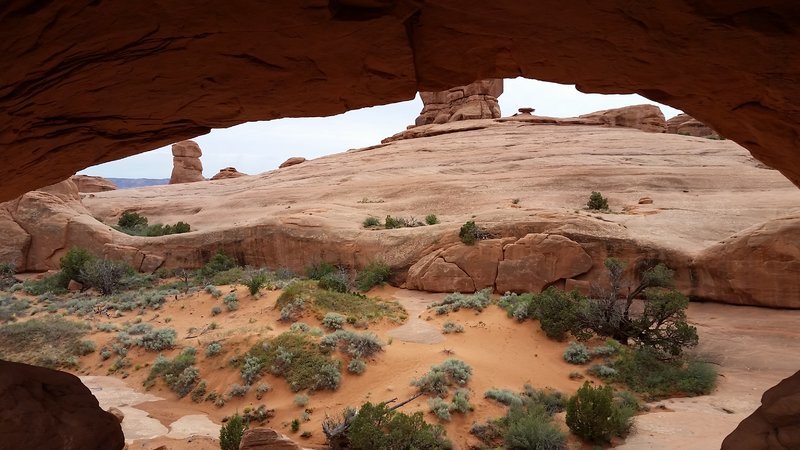 eye of the whale arch (3).jpg