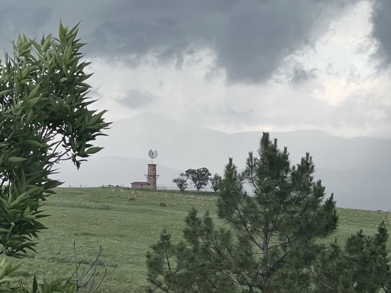 F018763C-A306-495F-BF17-40AA75E90CE5.jpg