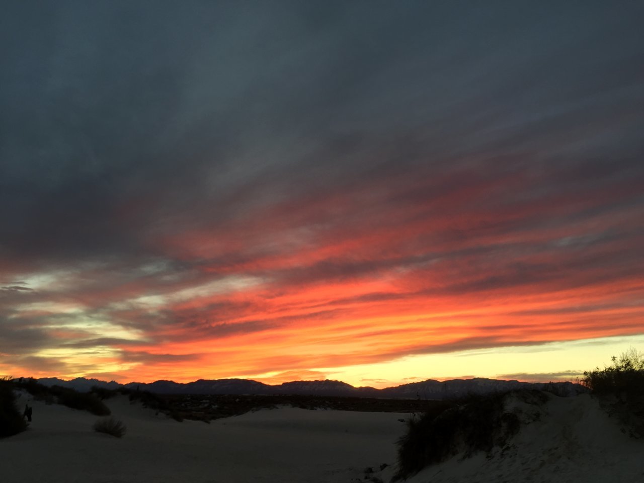 F0266ABD-EB95-4F7B-8BF8-1157344E2439.jpg