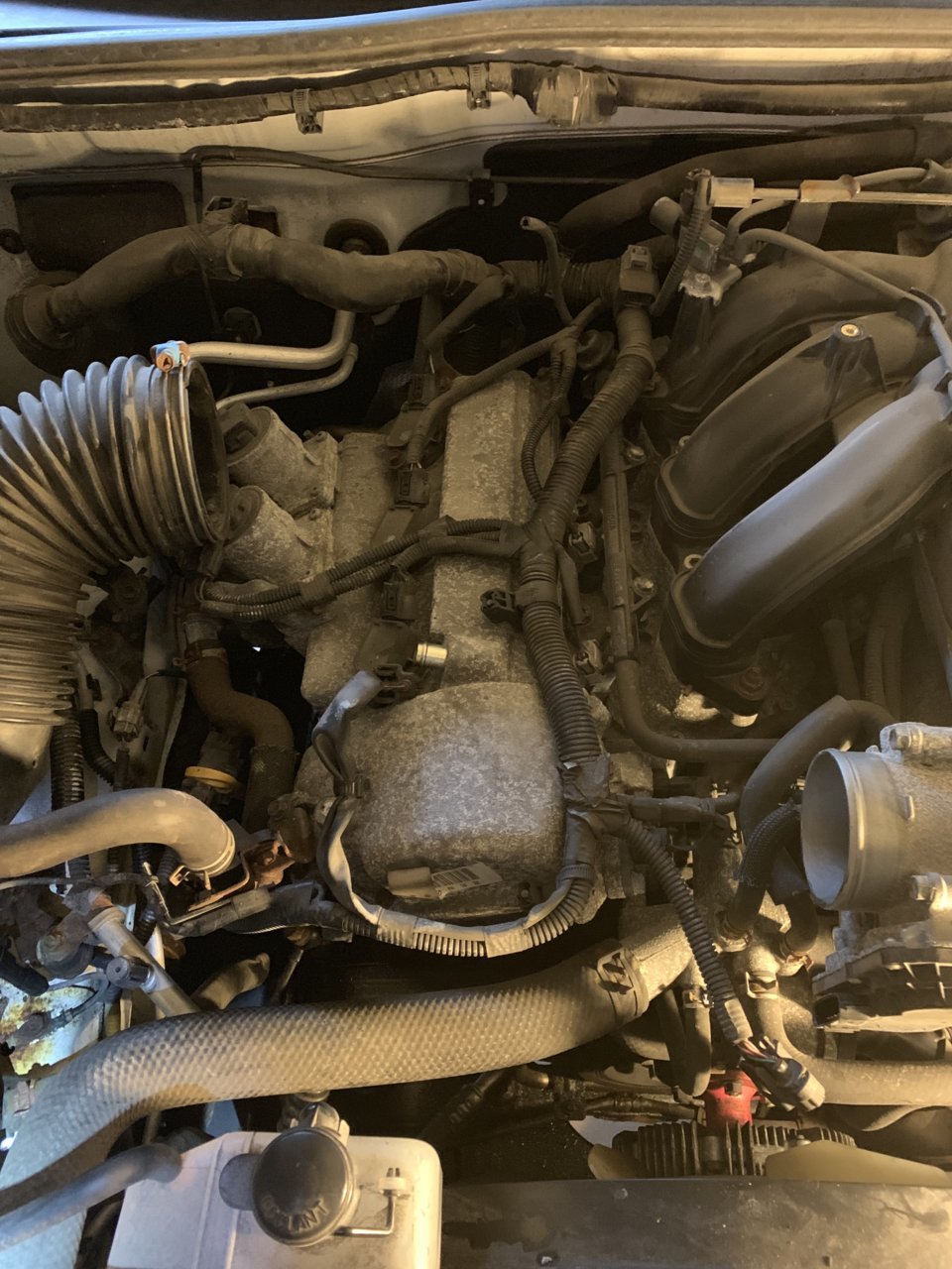 Timing cover hotsell gasket replacement cost