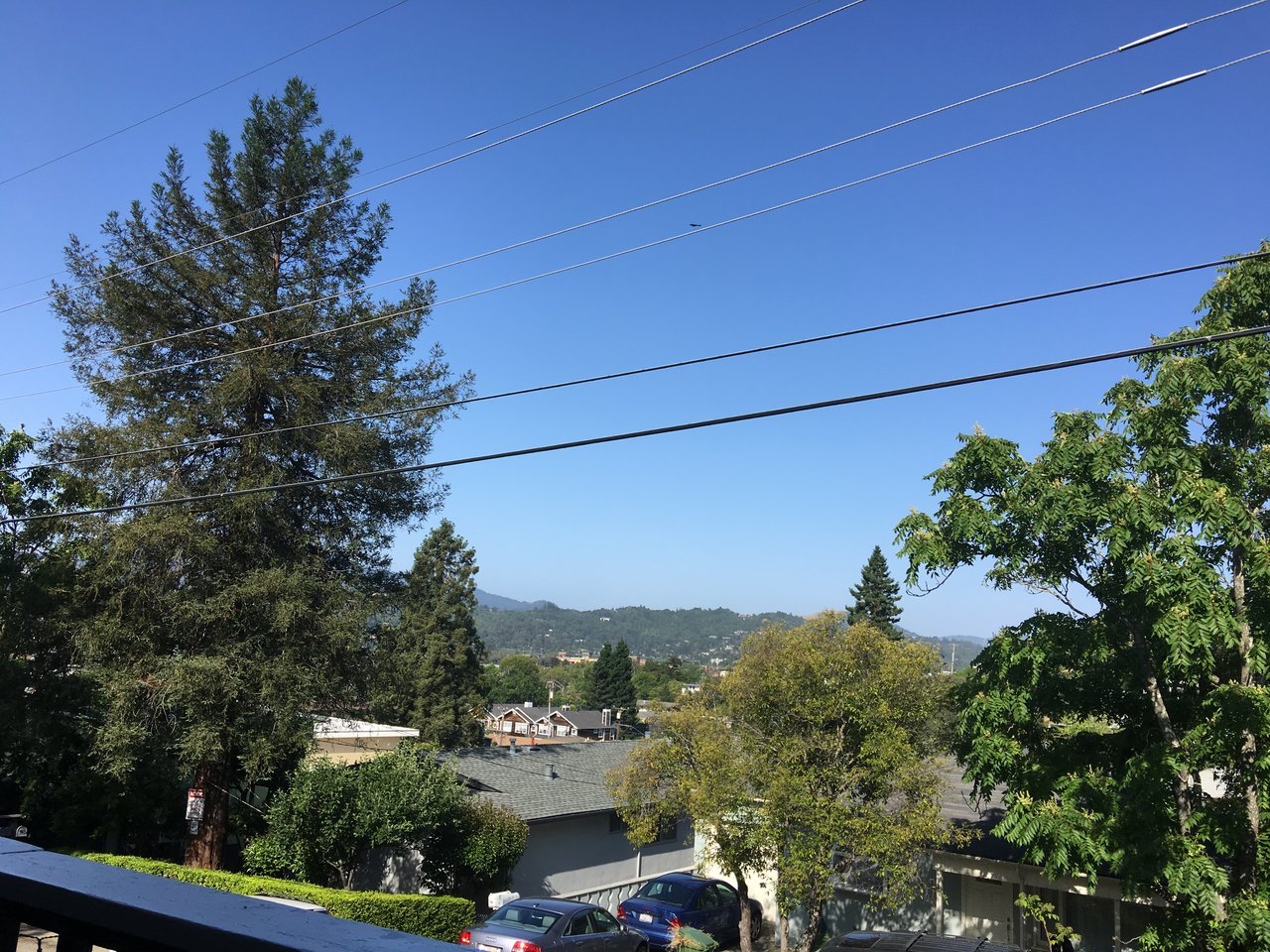 F05E56AB-9620-4419-A5C2-BF4C23915D5B.jpg