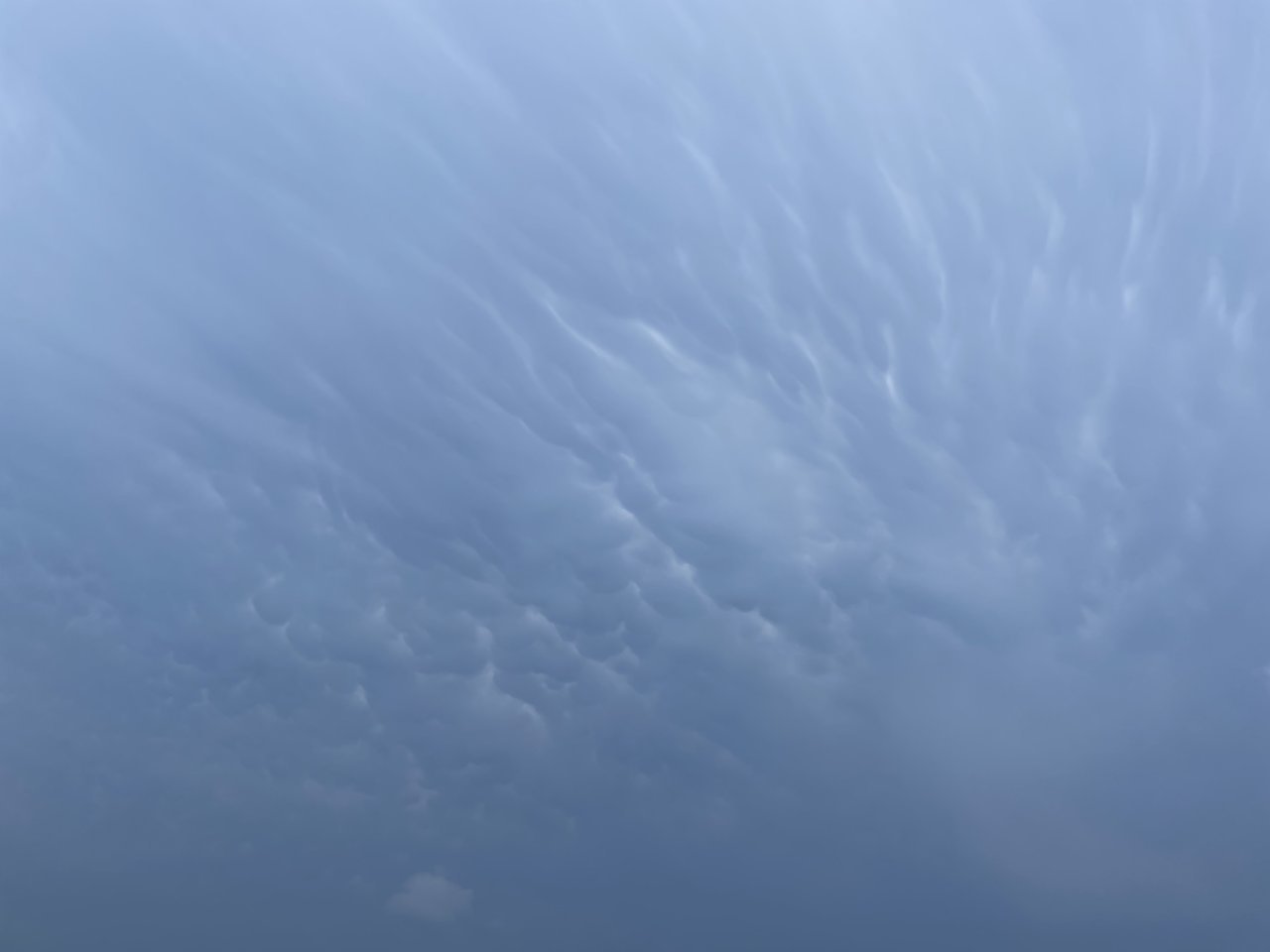 F0D49618-EB49-4BA3-9A40-F6693A3DCE6D.jpg