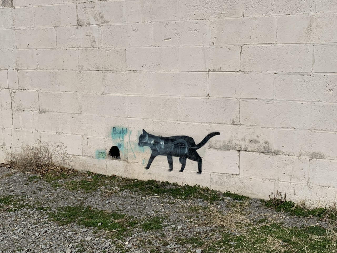 F0E24D8B-00BB-45C2-AF60-3581DE1D69AD.jpg