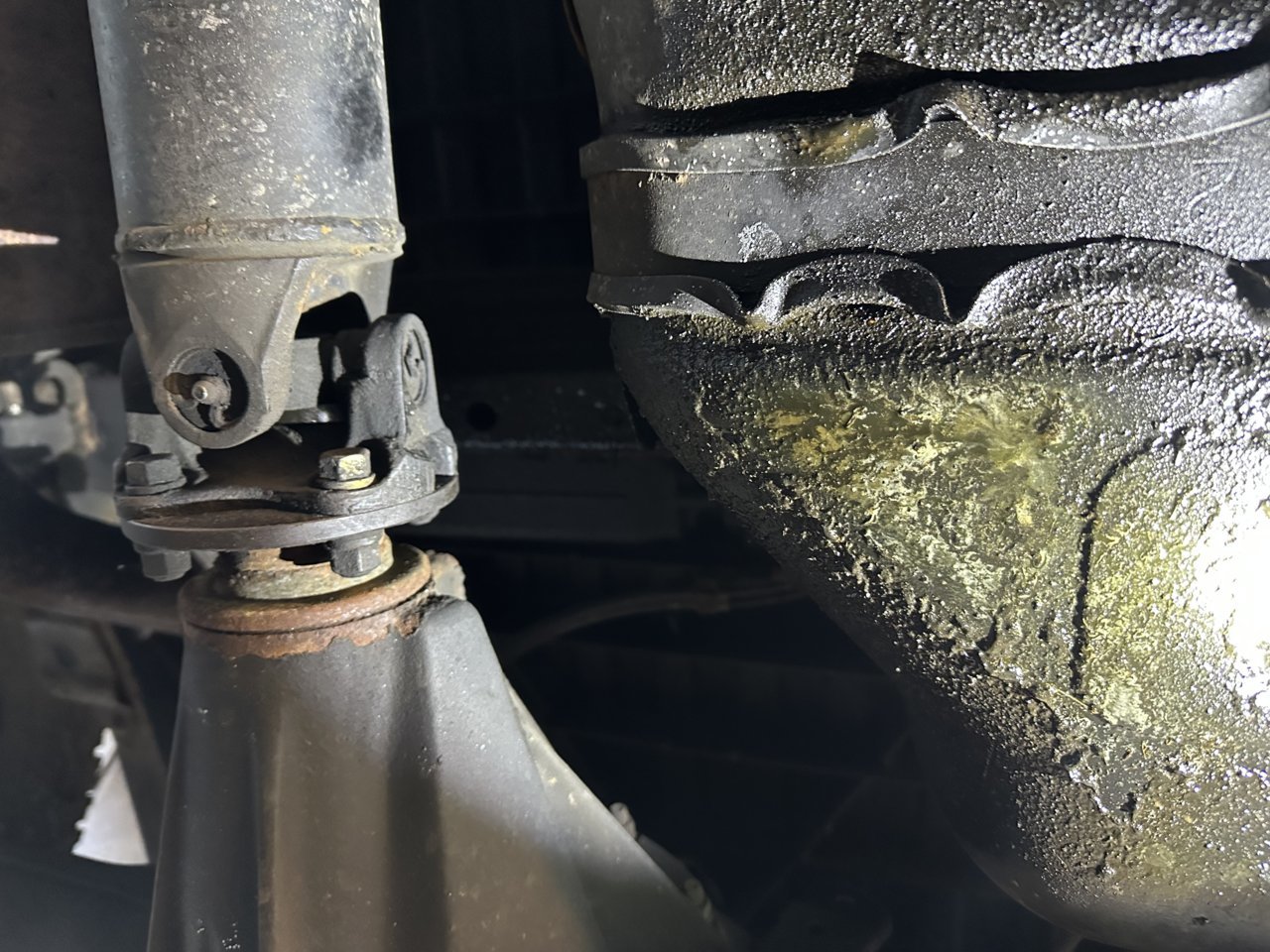 F127F209-F82F-47DA-A932-9375980D24CE.jpg