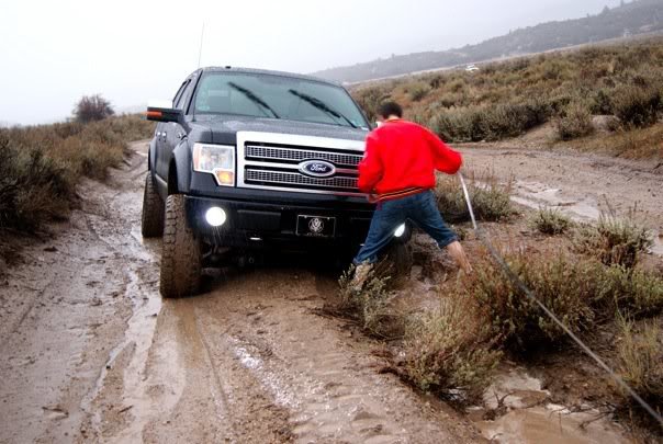 f150_586fe121c9930e0edabb28a934d924e7fc28e015.jpg