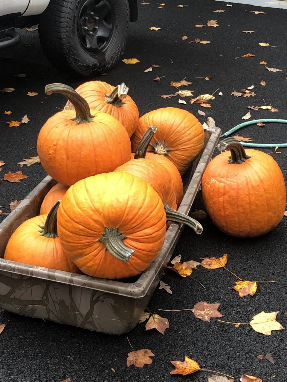 F1564689-C356-4610-ADEB-FE901A930C13.jpg