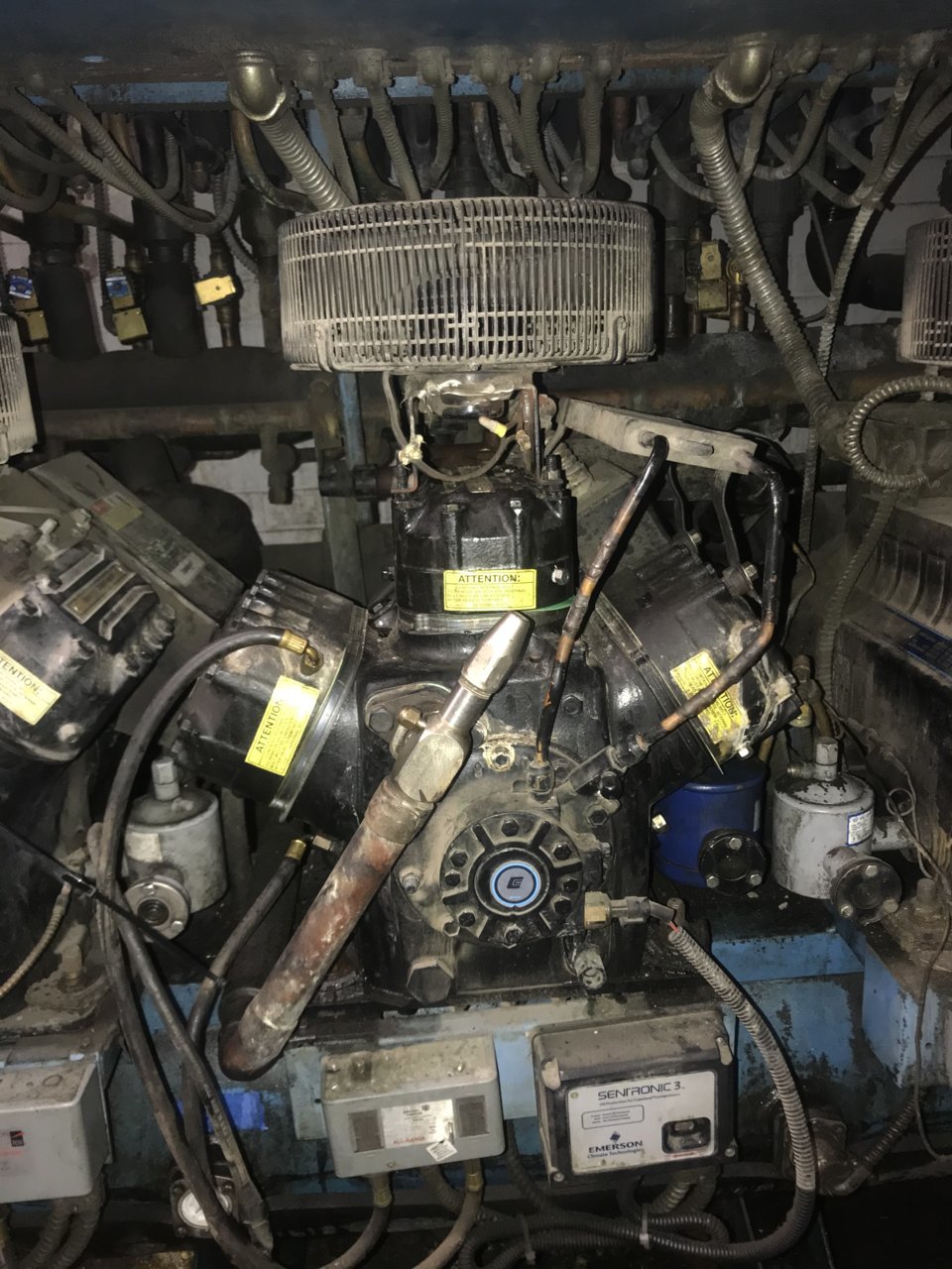 F185C9E0-7C68-4E59-AFAD-83707D3C7D7B.jpg