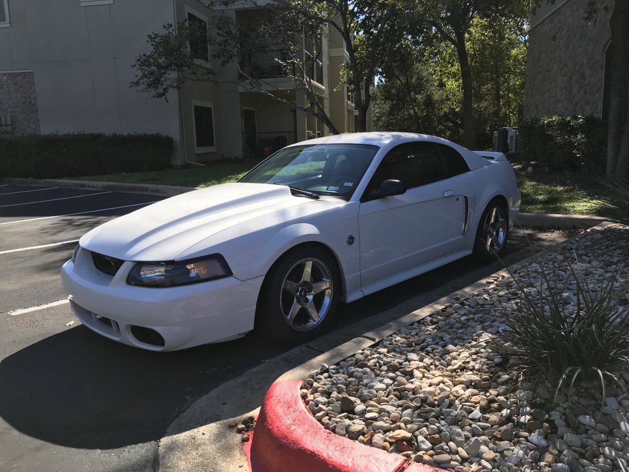 F1A24DEE-8B90-45F3-AFAC-3337A0D39AB4.jpg