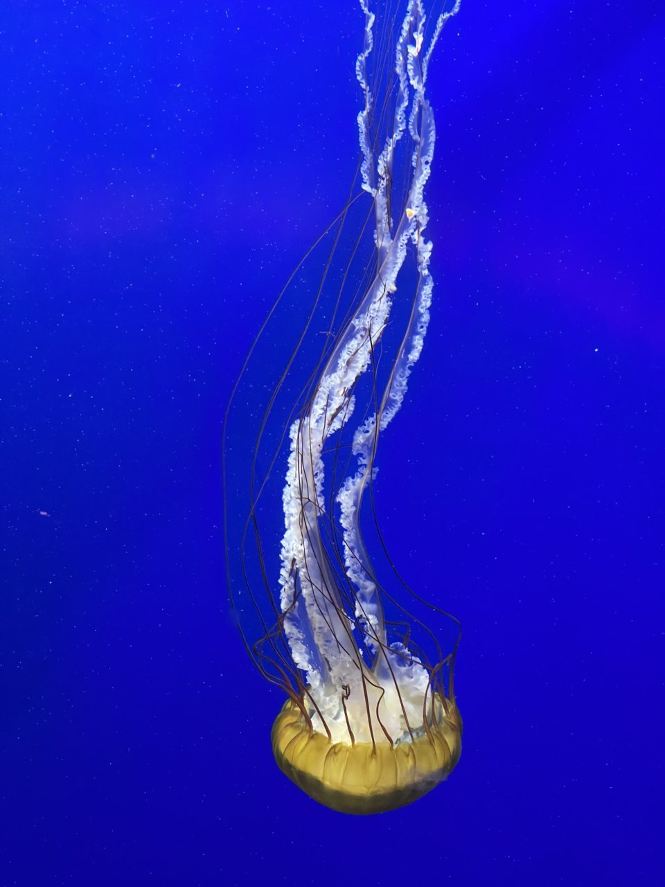 F1E526EE-02B2-4C4E-B86B-D5BDA754F4BF.jpg