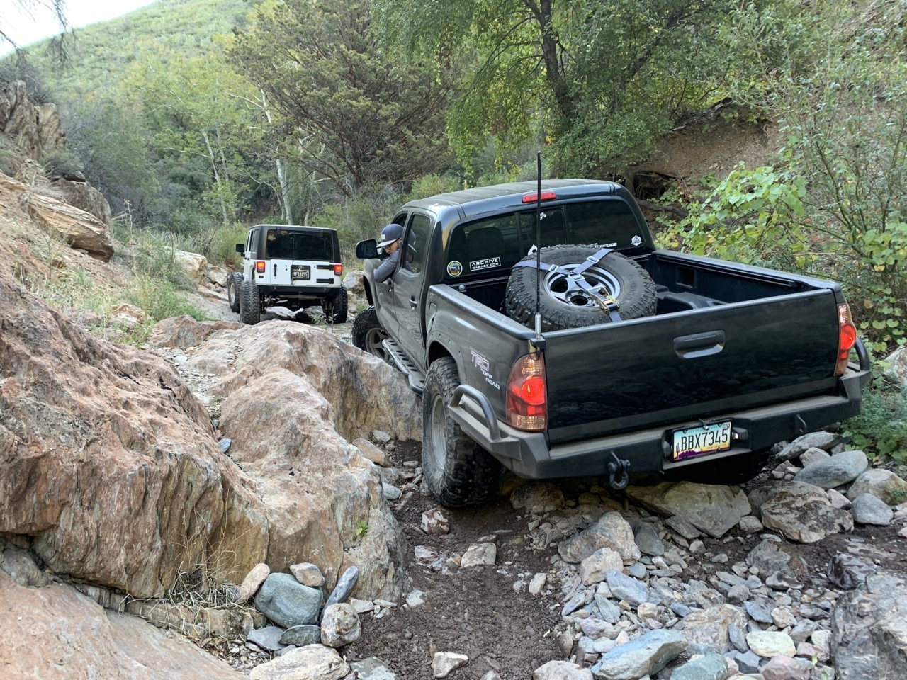 F221230E-4D12-4645-AAB8-3A3D9D29EF7B.jpg