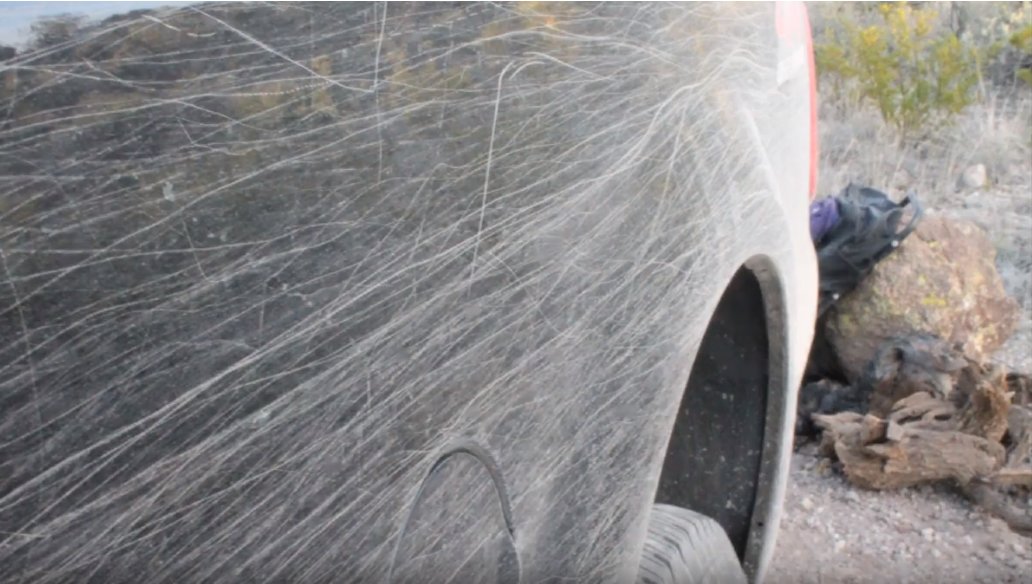 F250 Desert Pinstriping.jpg