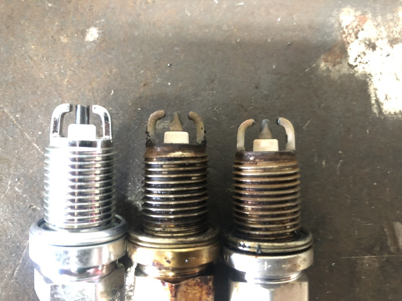 F2D2CEBE-CF37-48A0-981F-0F8C21B4C69B.jpg