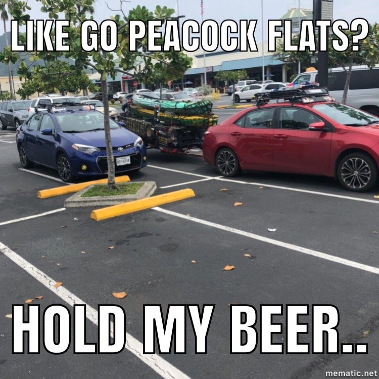 F2EB3569-6E33-46B5-9B01-F47FA380B21B.jpg