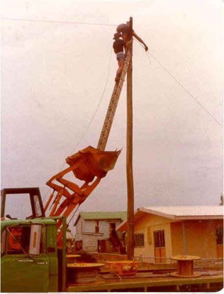 f3.jpg