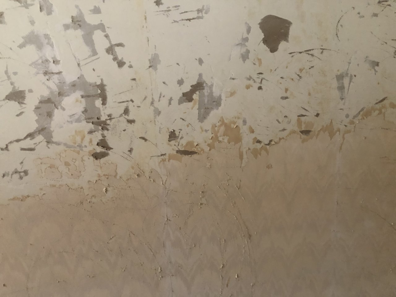F316272E-795B-4A79-8714-C6494E34910F.jpg
