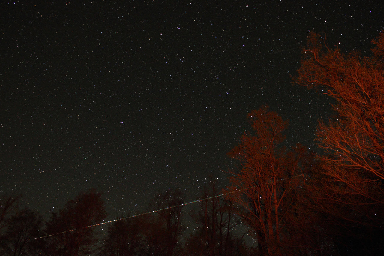 F349D401-5ABD-4AC5-B7C1-811822BDA86A.jpg