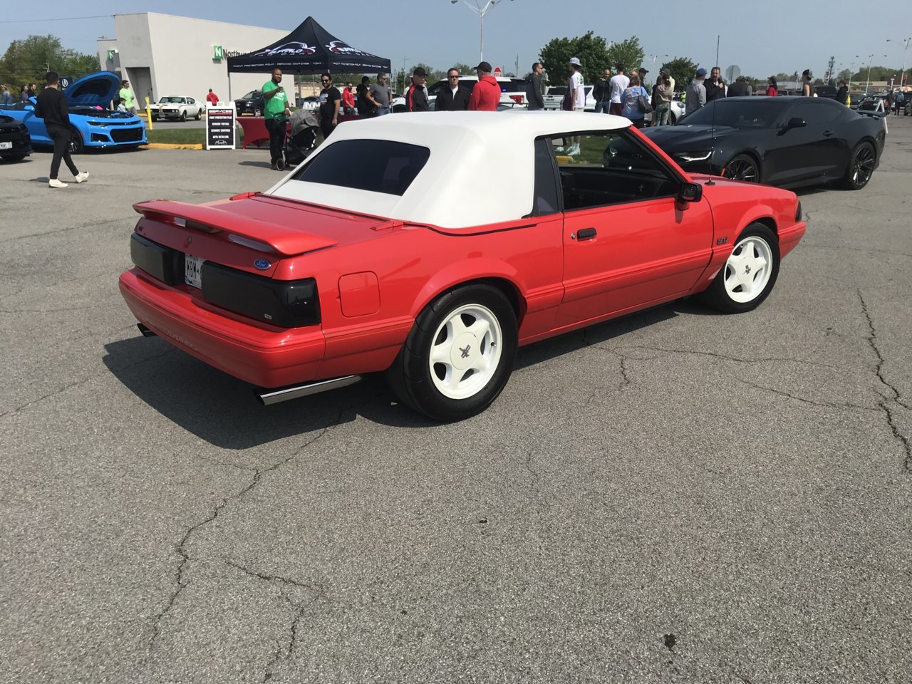 F368B97E-2D47-4BED-932D-57BF13EFB0F7.jpg