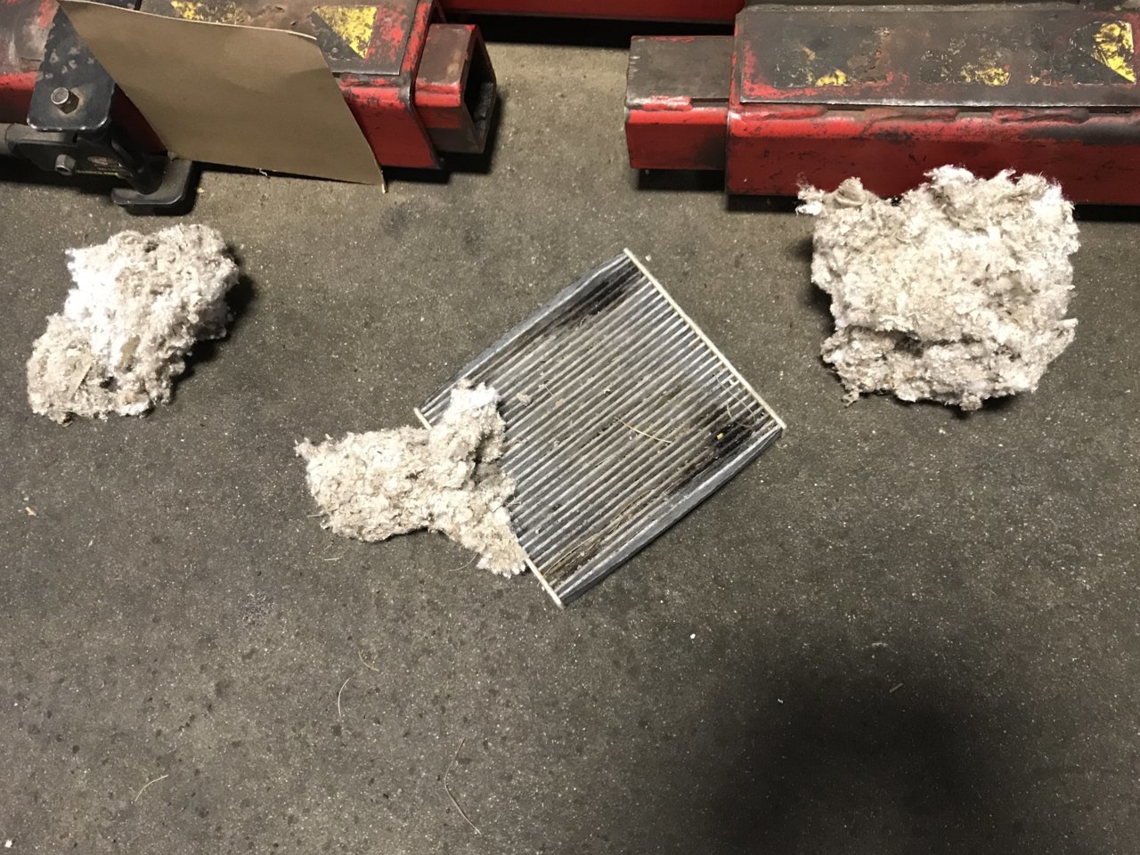 F372EC61-8ABA-4027-B2D9-DB3173ABCFE1.jpg