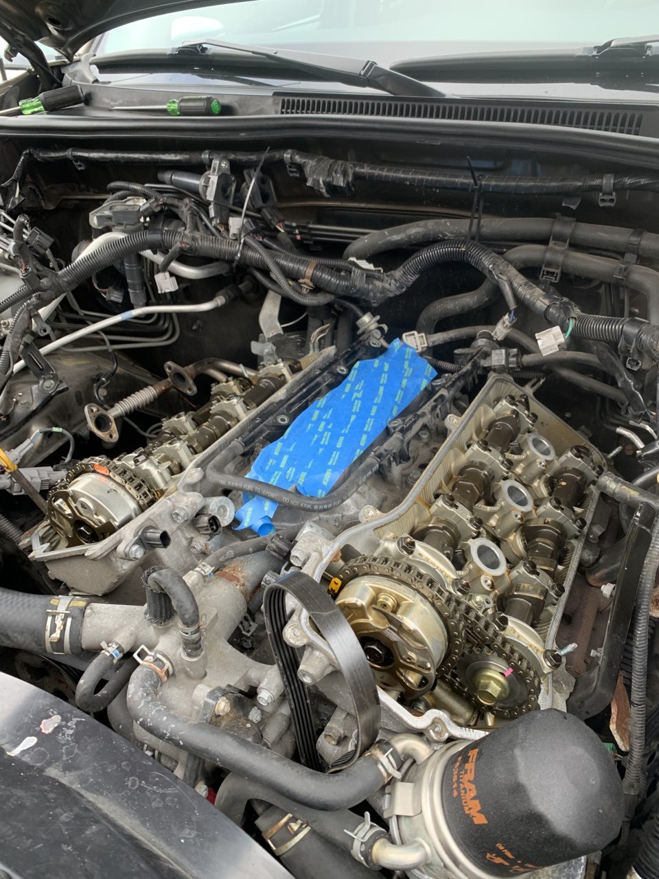 F40B3D02-6E5D-4FD0-9AFA-75937F56F868.jpg