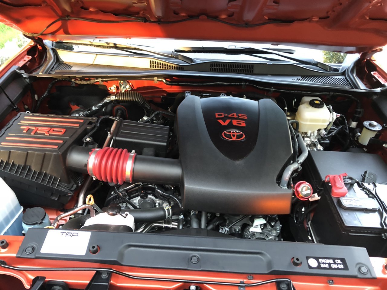 F421EBDF-E9FD-44B9-A2B4-ACE7B0A8528B.jpg