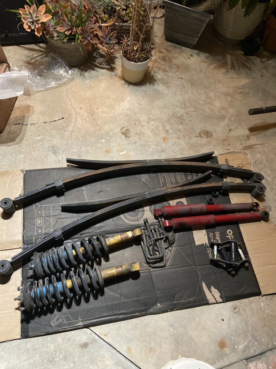F432AAE1-014F-4078-A913-F099B0F5F415.jpg