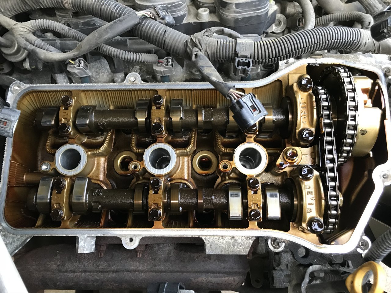 F493DF15-E39C-4464-928F-866B7EC60856.jpg