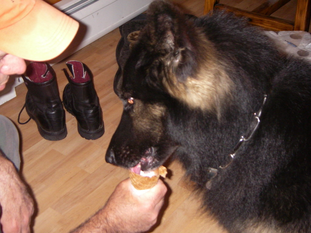 F49DFDAD-39FC-4255-8156-59A916CCF488.jpg