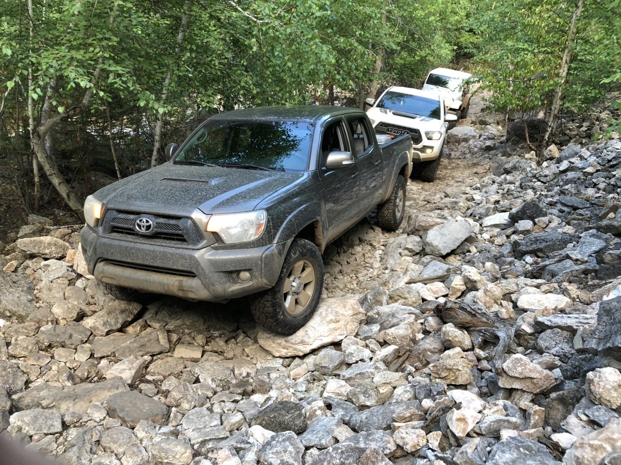 F4BA2385-36ED-4C1F-96B7-AA0BA524AEA3.jpg