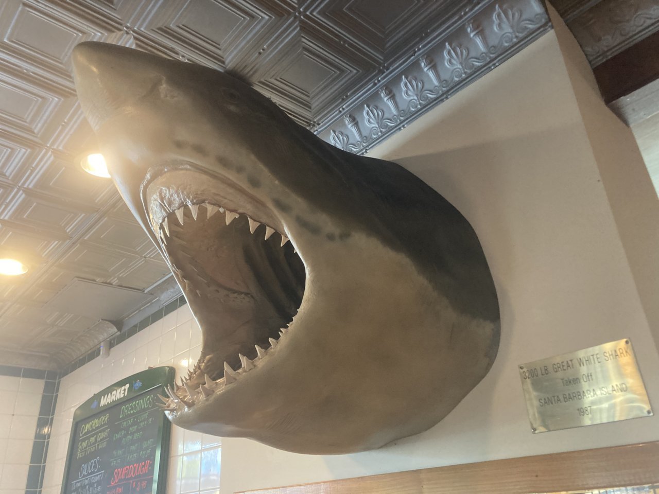 F4F9CC25-88C7-4C70-8F1D-95D26DF2122F.jpg