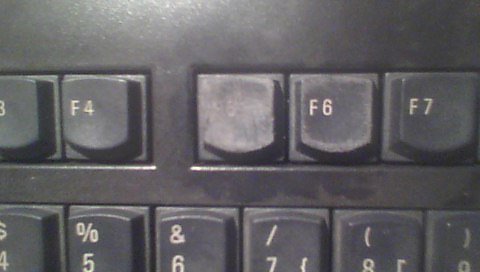 f5.jpg