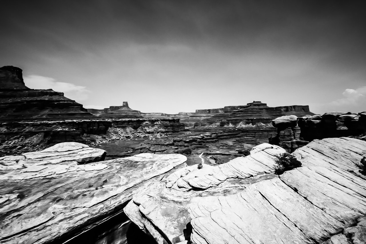 F50815CB-79D1-4548-989D-285A91C9ACFB.jpg