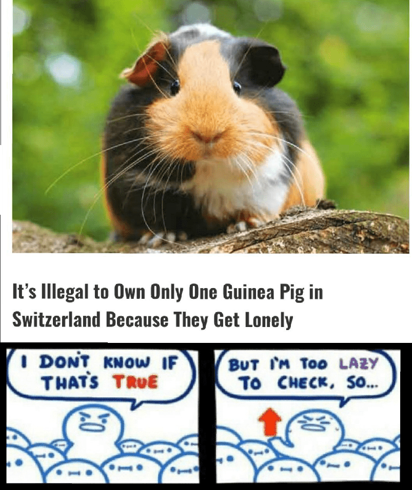f516475.png
