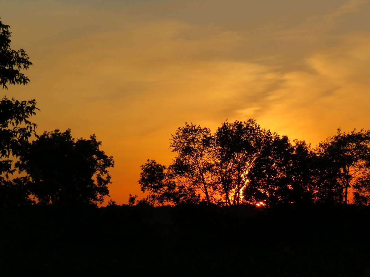 F522C48F-9937-43AA-9E7D-C0025BC3ED37.jpg