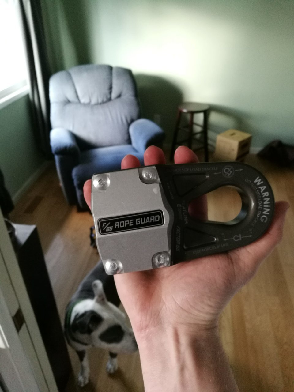 f55.jpg