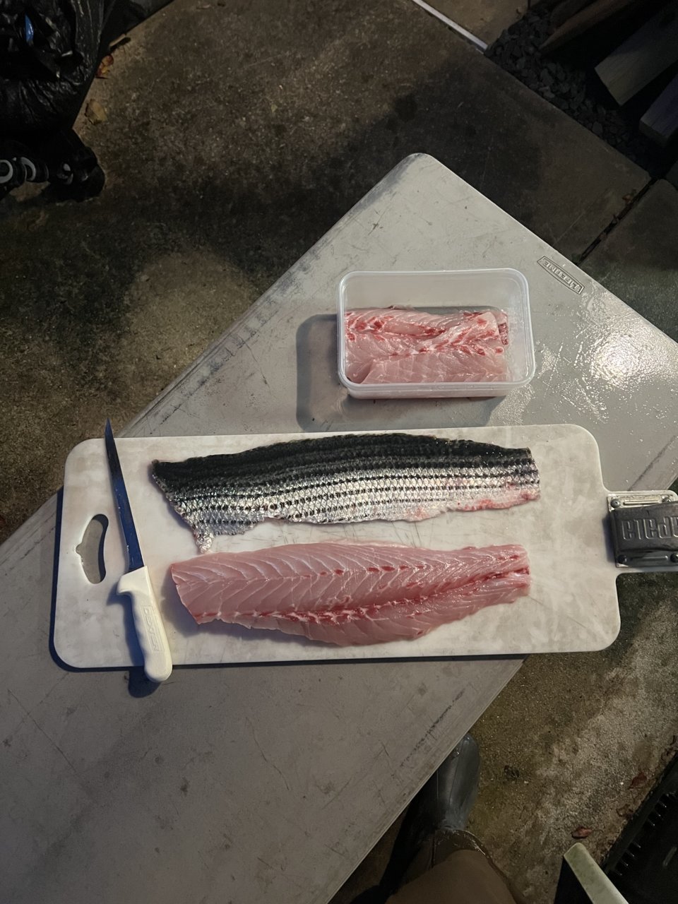 F55FC227-2A96-488F-A289-FE70A450BBD7.jpg