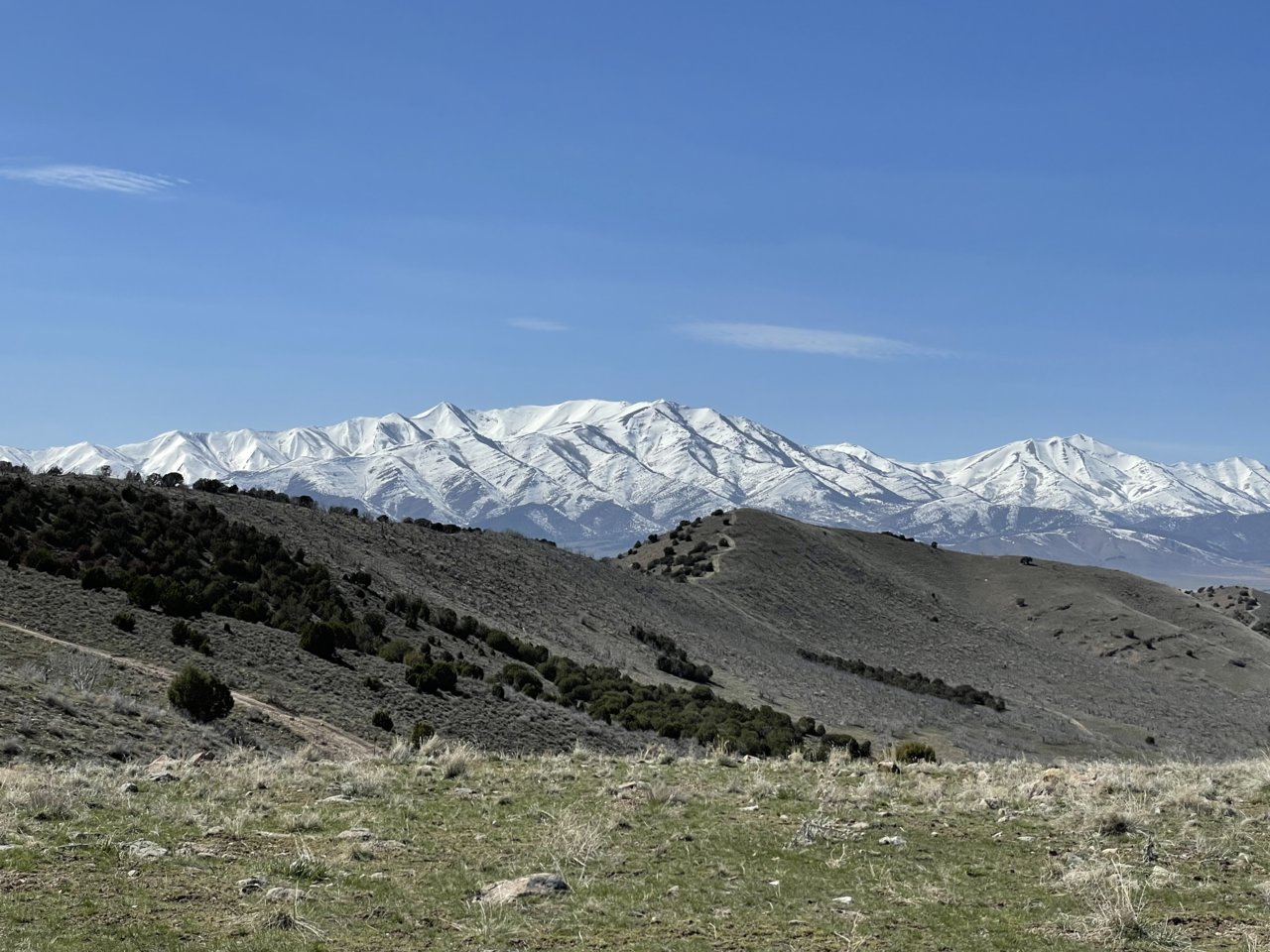 F5C278C4-0CB3-41B5-89DA-30081E4466B6.jpg