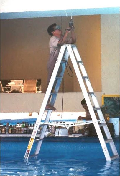 f6.jpg