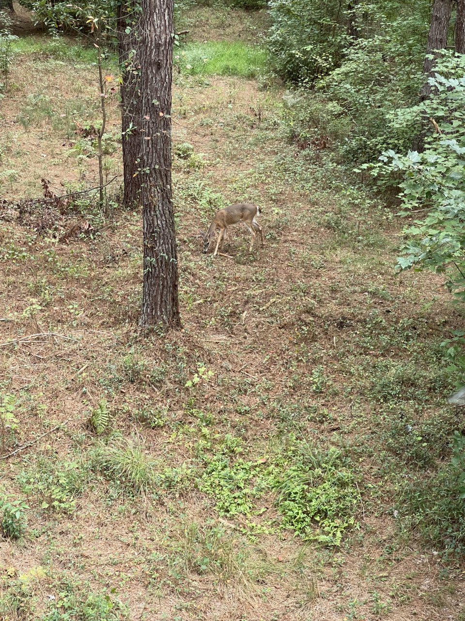 F628422C-3413-4B42-B1BC-2D268D23B7E2.jpg